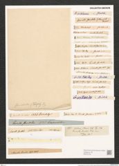 Surirella striatula Turp. (de-Toni-Nr.: Genus 53, Species 2238) Zeichnungen Sammlung Grunow (NHMW-BOT-W0372732)